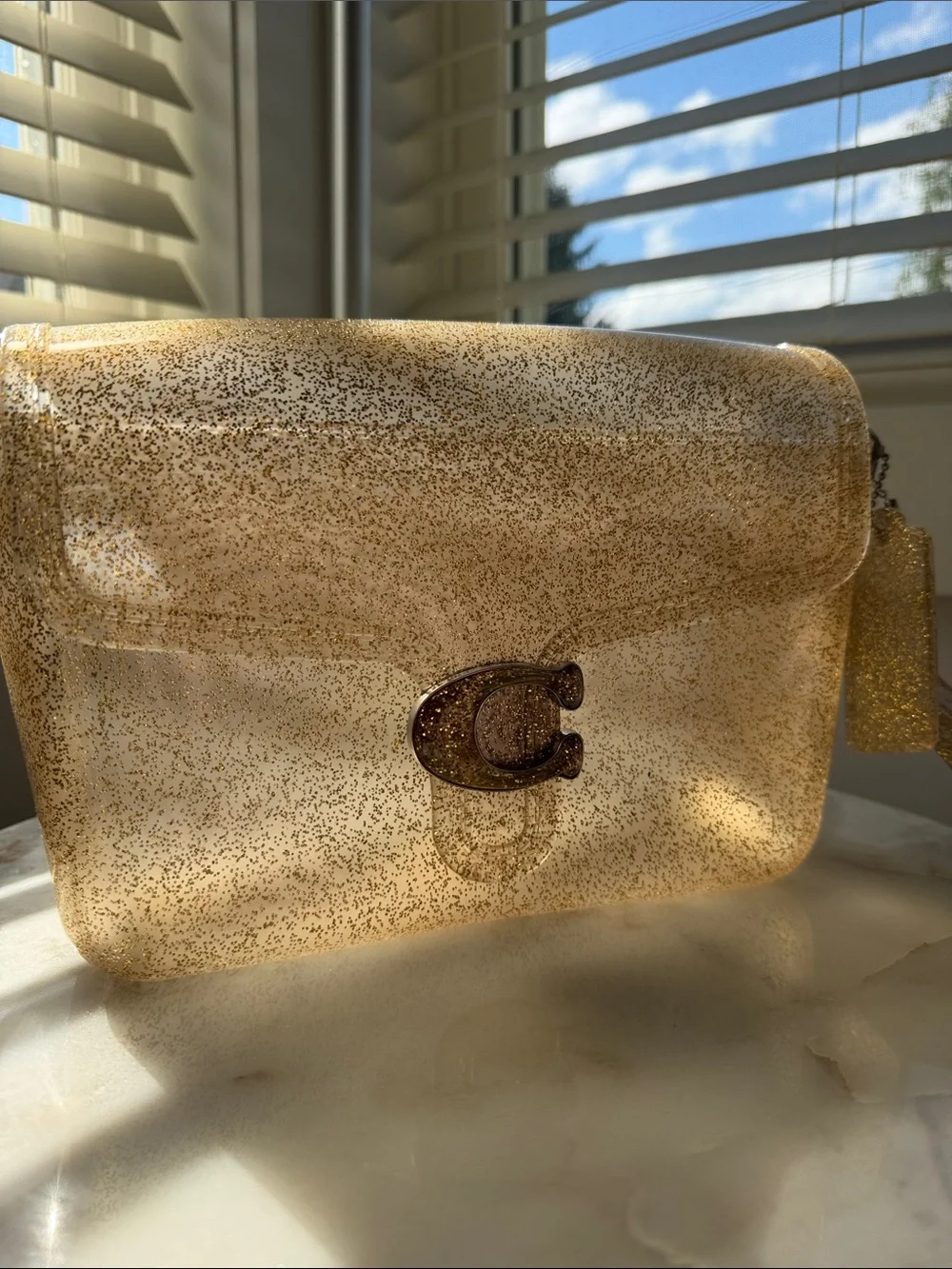 NWOT Coach Jelly Tabby Bag